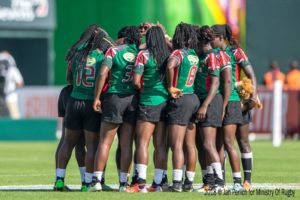 Kenya lionesses